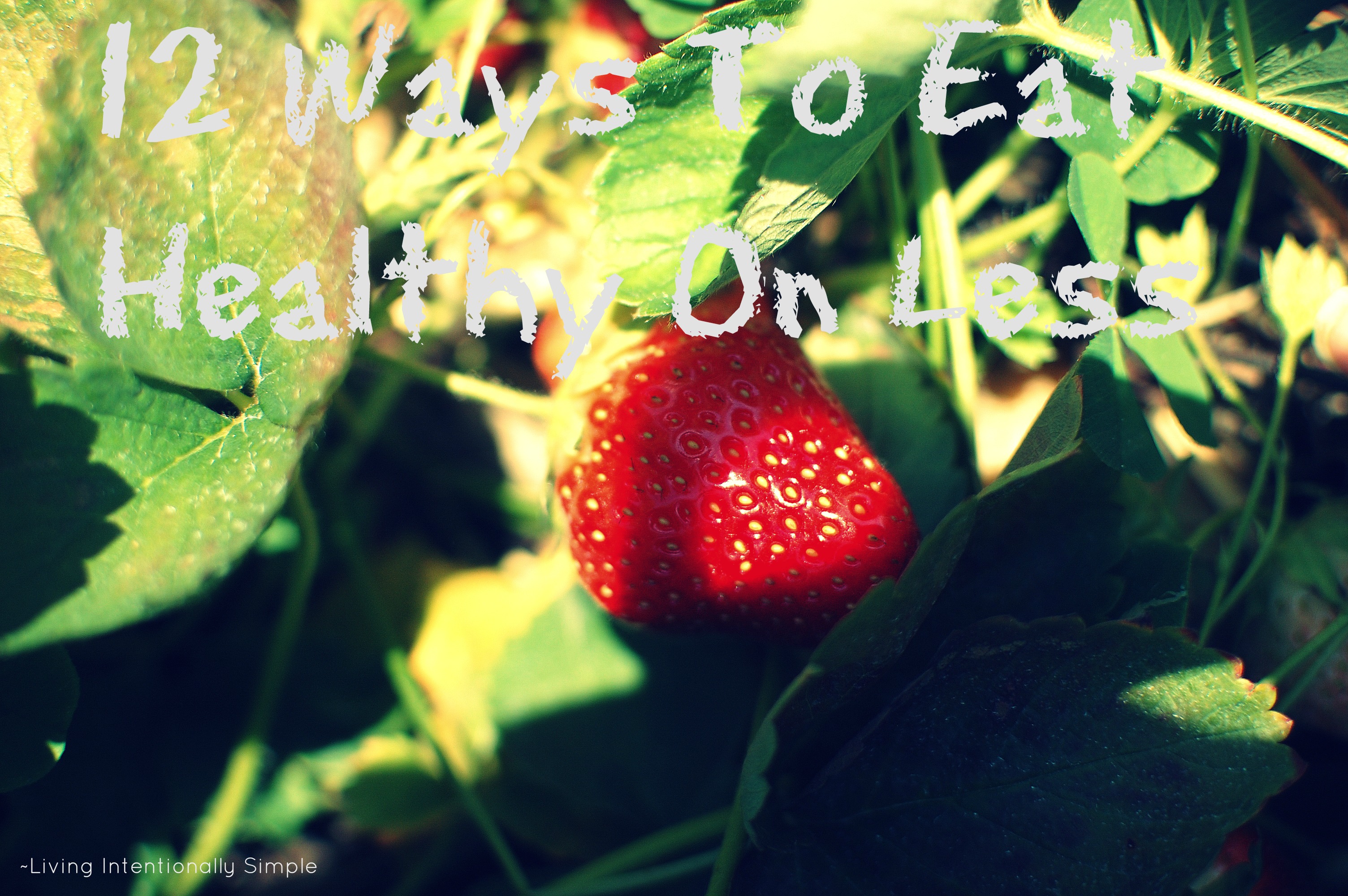 12 Tips For Eating Healthy On Less